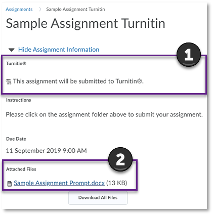 Turnitin statement and assignment instructions